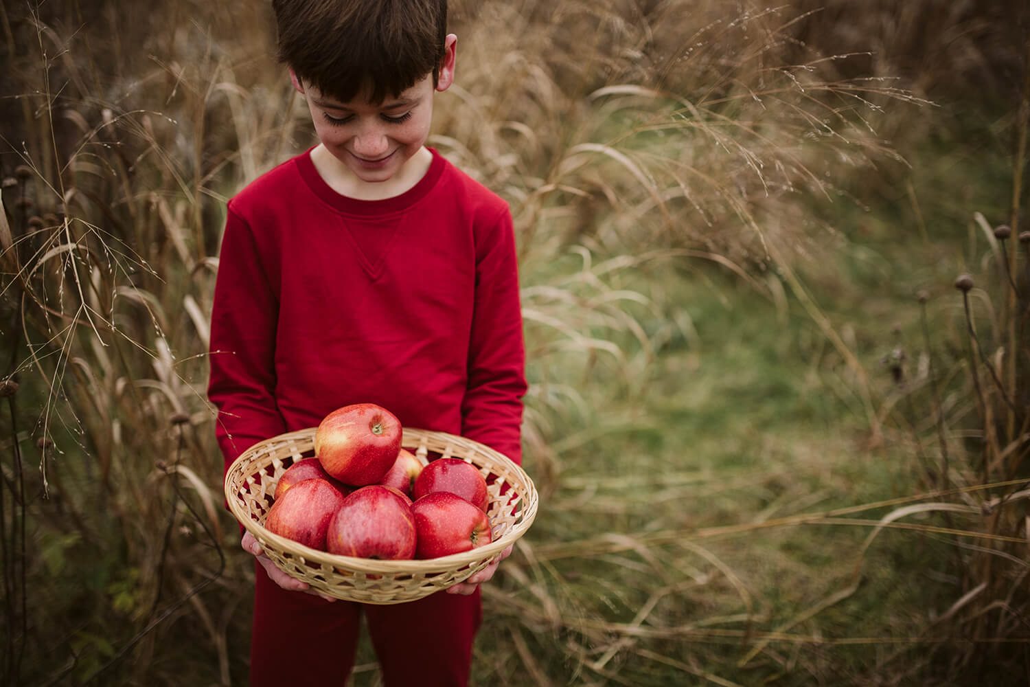 Apple Picking with Kids